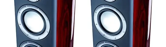 Ex Demo Monitor Audio Platinum Speakers